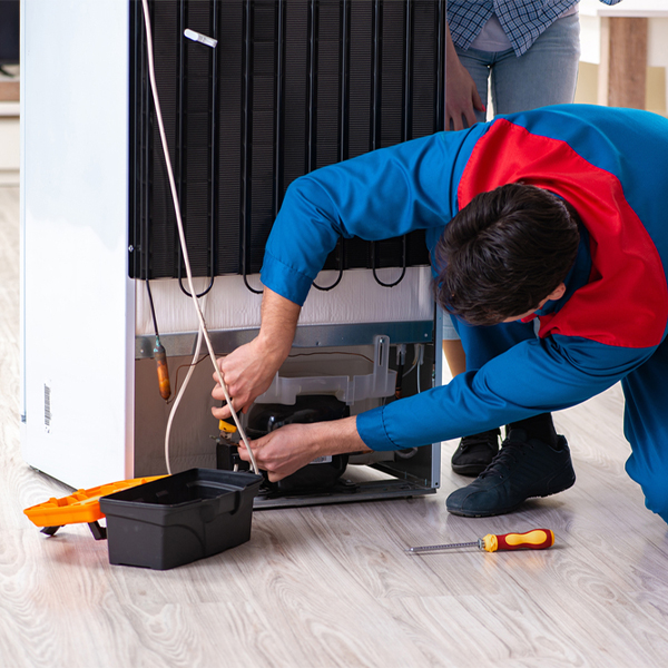 what are the common refrigerator repair services in Briarwood